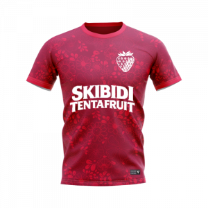 Maillot Skibidi